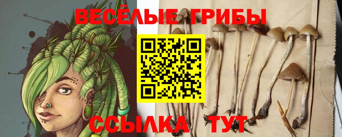 Псилоцибиновые грибы ЛСД Бийск
